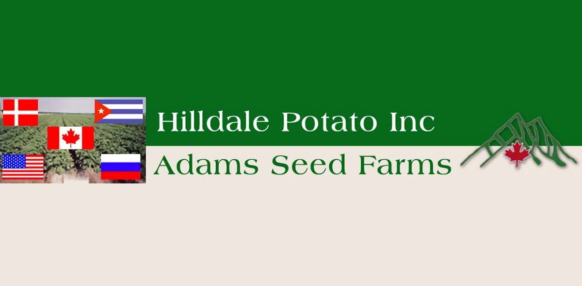 Adams Seed Farms logo