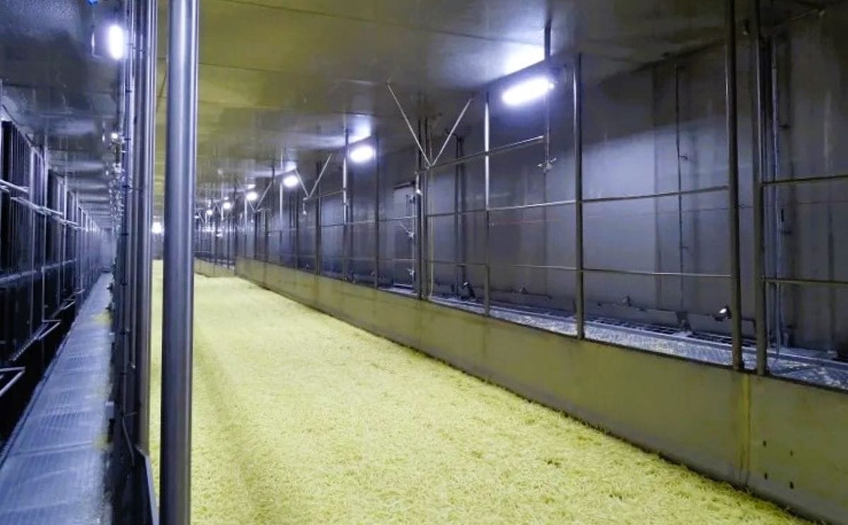 Advanced Food Equipment LLC - IQF Tunnel Freezers