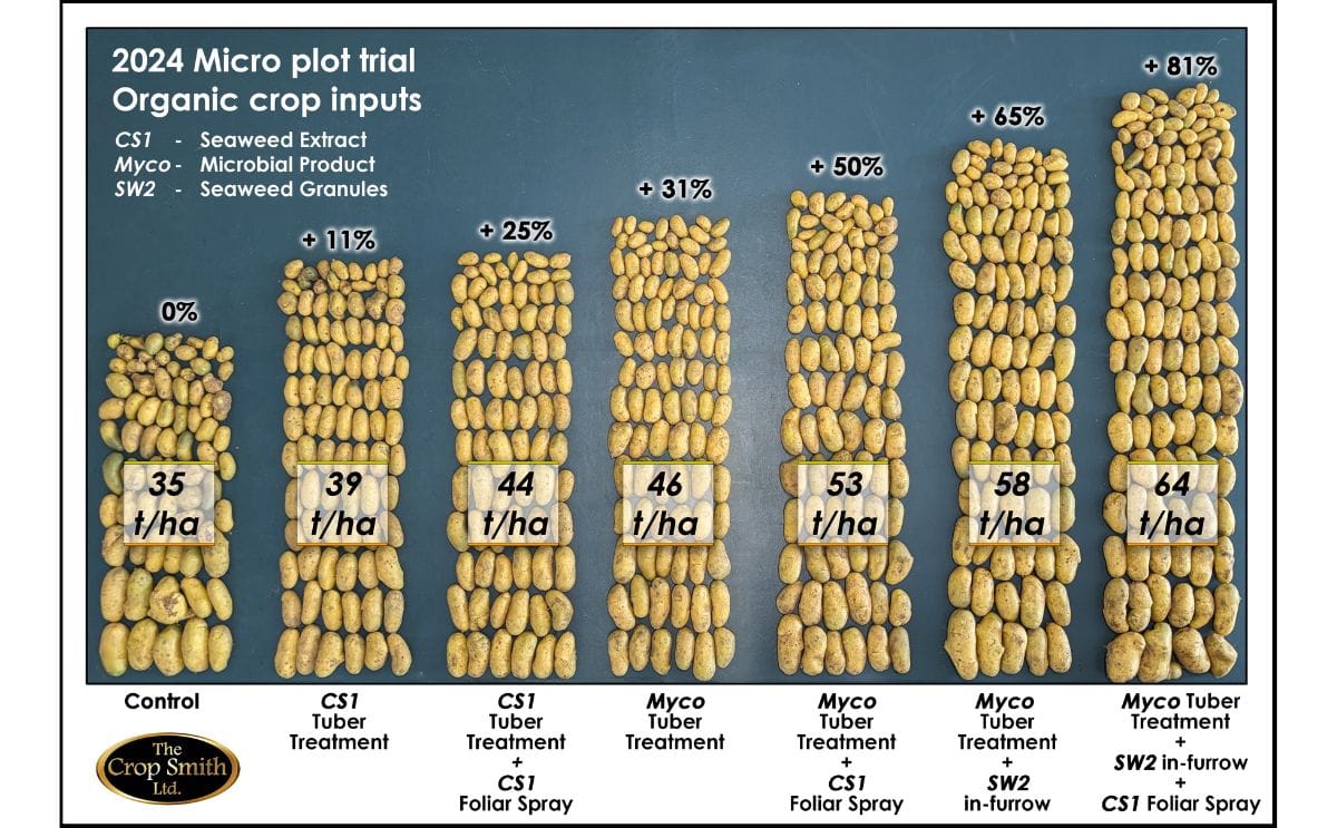 Charlotte micro trial
