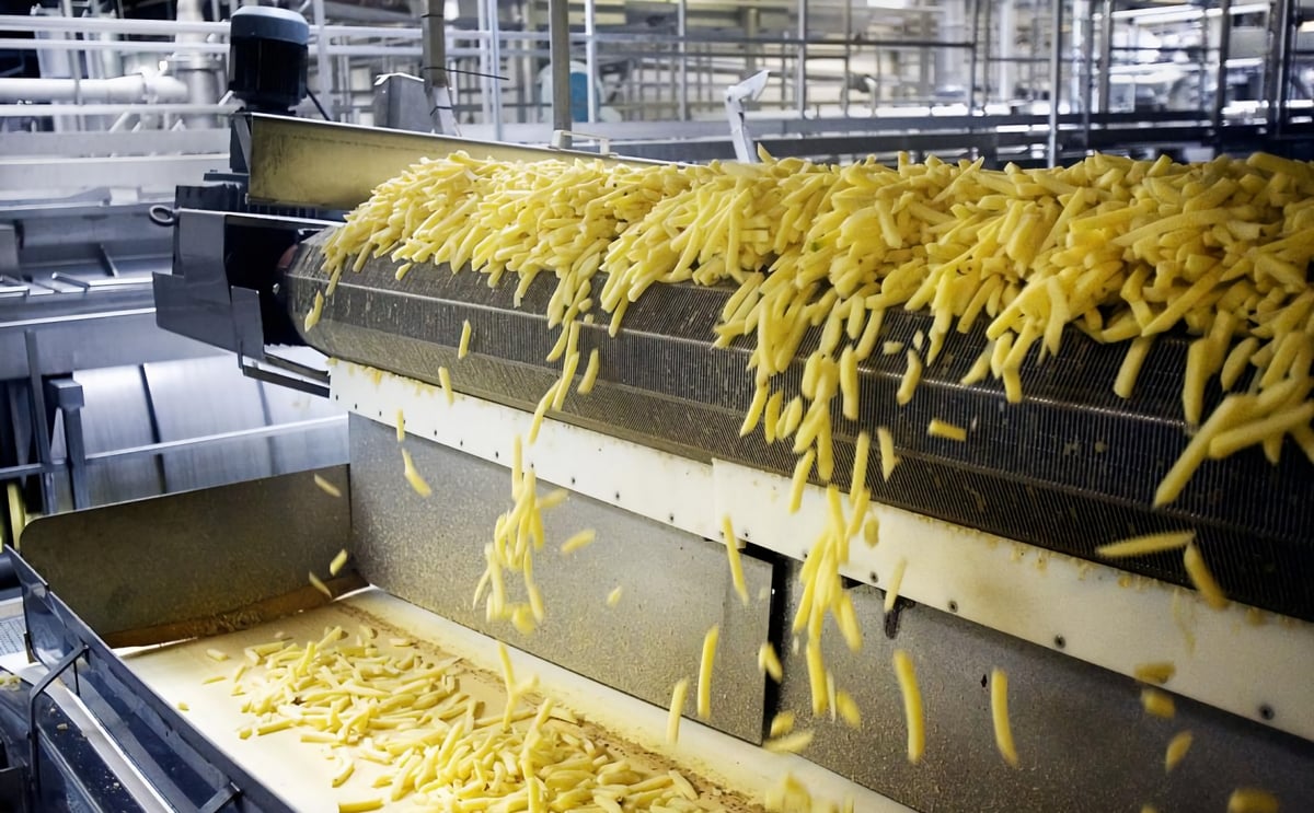 Uzbekistan french fry plant