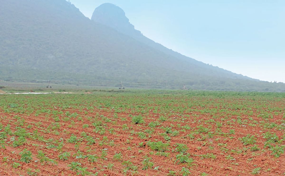 Boerdery in dendron limpopo potassium sulphate and map