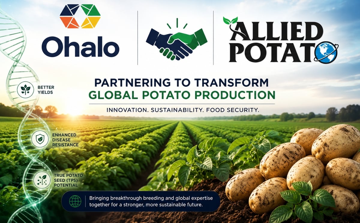 Partnering for sustainable potato innovation