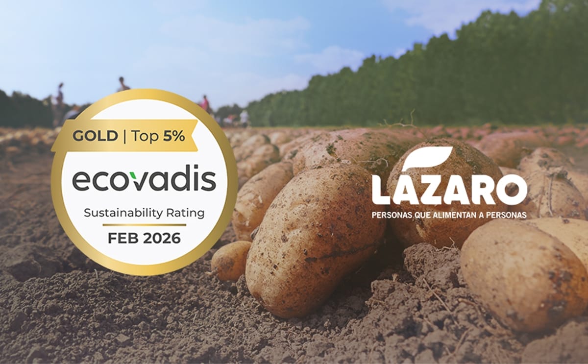 Lazaro ecovadis