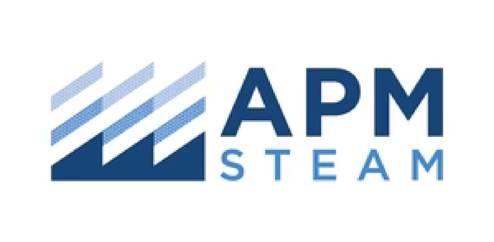 American Plant Maintenance (APM Steam) logo