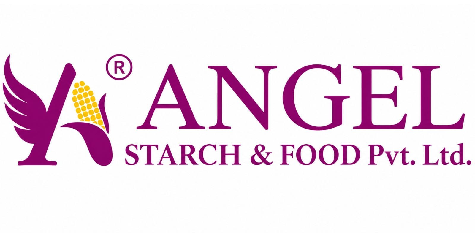 Angel starch and food pvt ltd logo