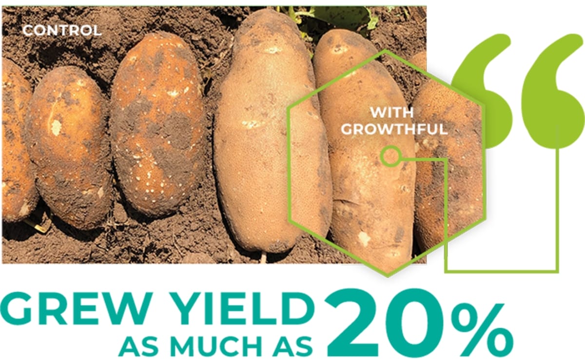 Growthful™ testing opportunities
