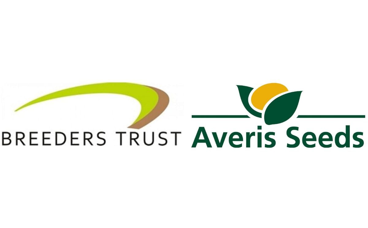 Averis reeders