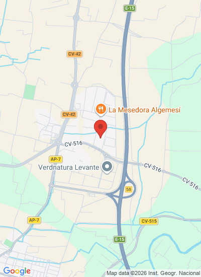 Map showing Algemesí, Spain