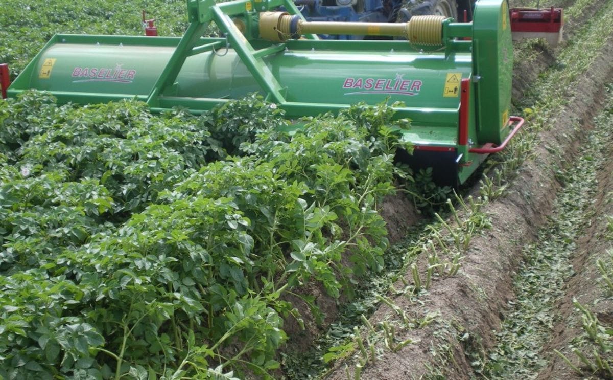 APH Group - Baselier LKB haulm toppers