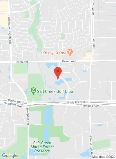 Map showing Wood Dale, United States
