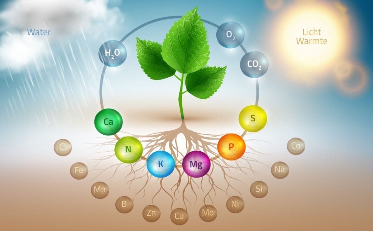 Sustainability new website