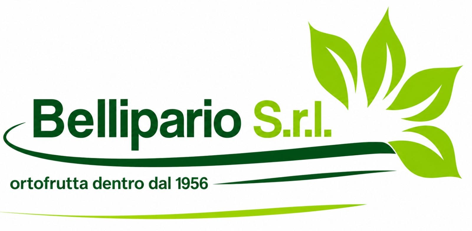 Bellipario S.r.l. logo