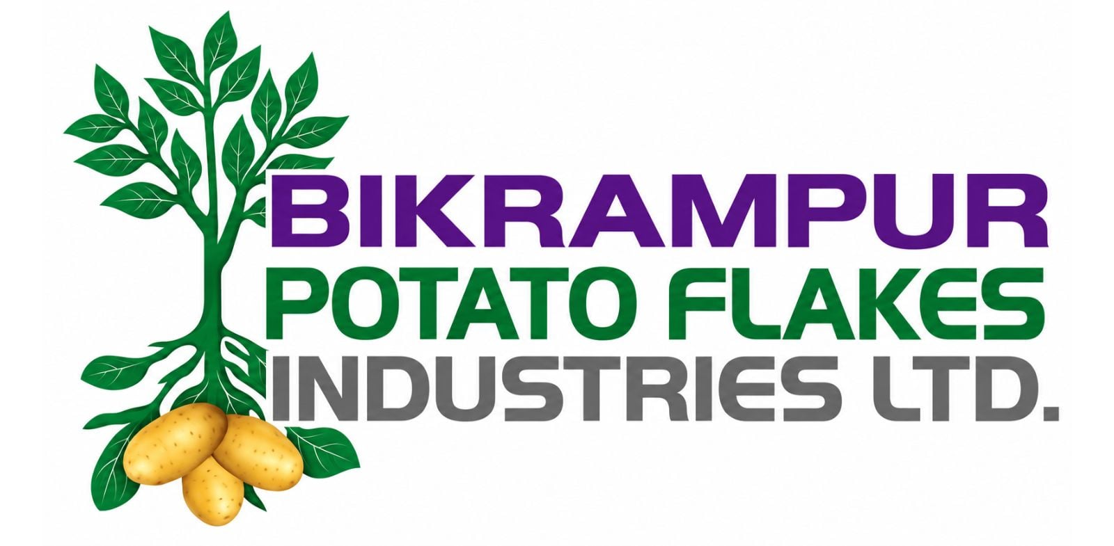Bikrampur Potato Flakes Industries Limited logo