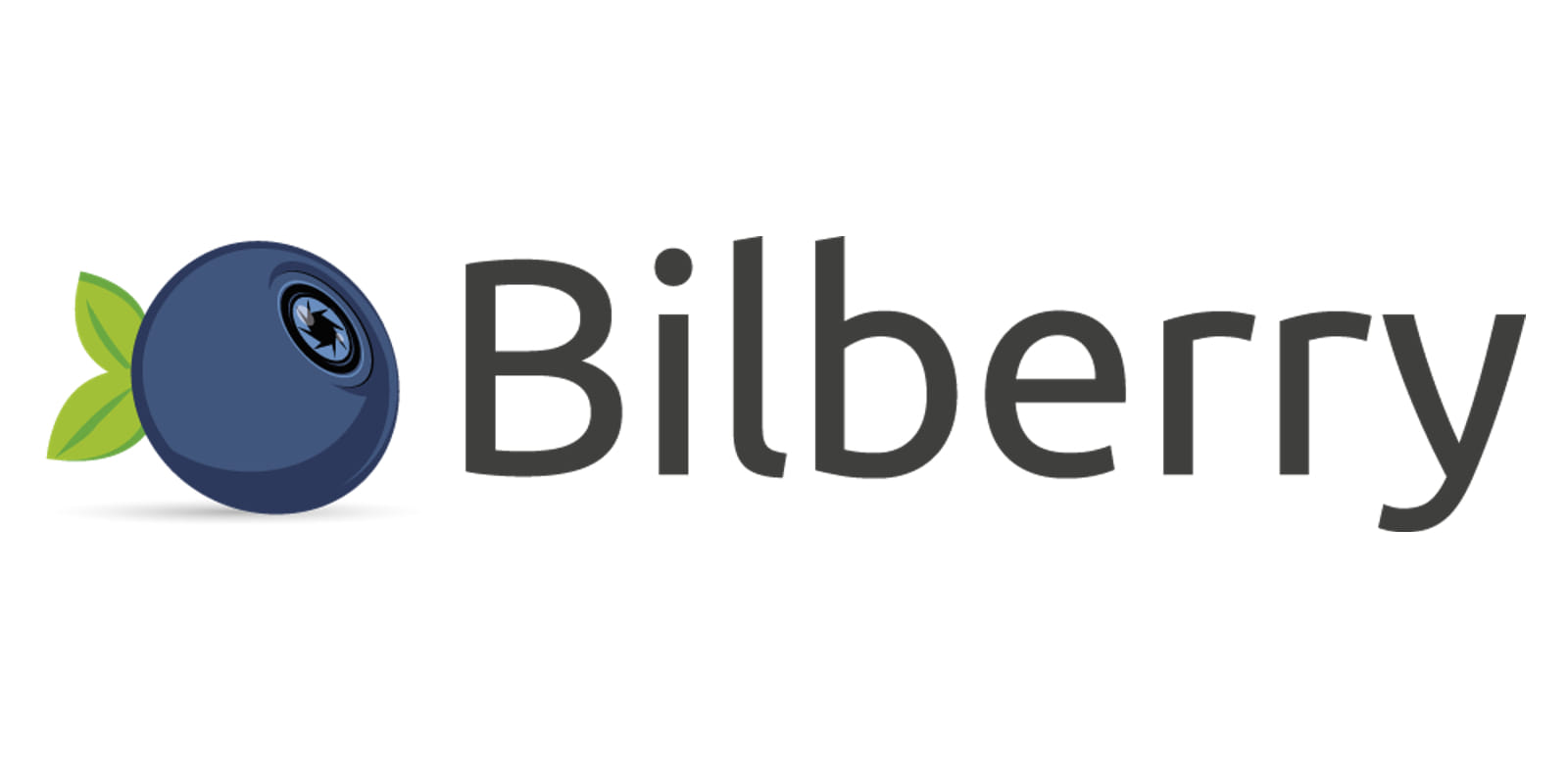 Bilberry logo