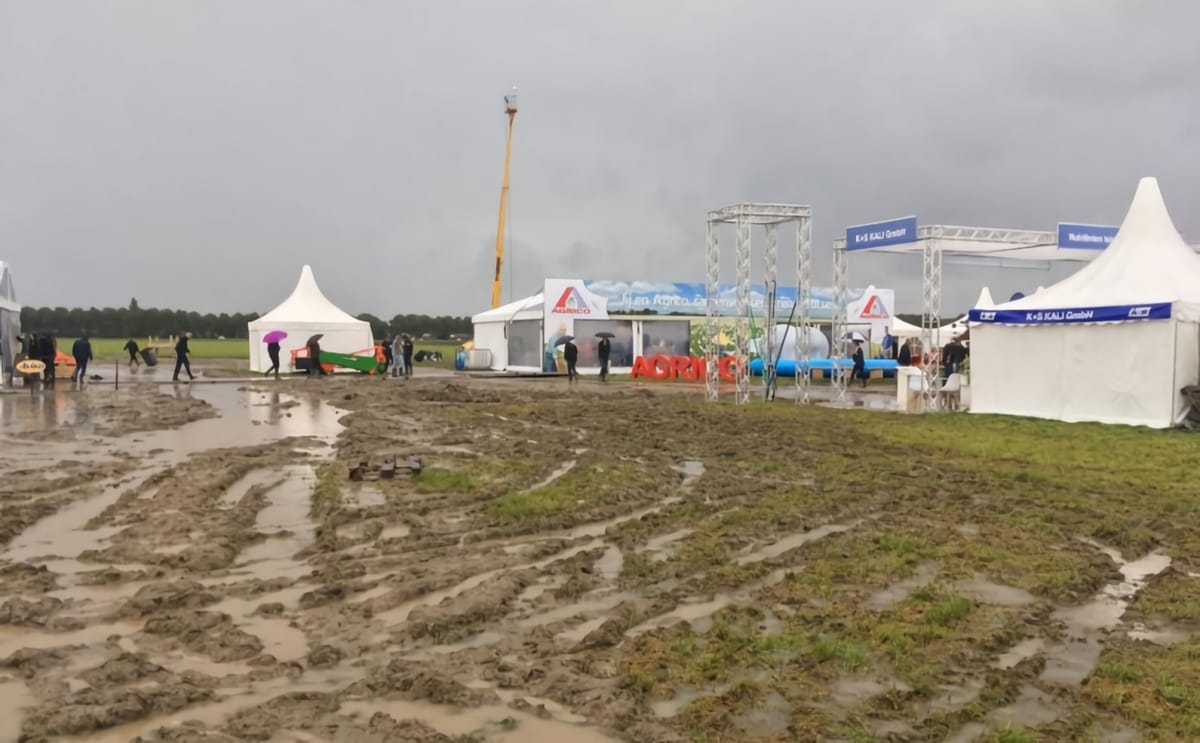Potato europe muddy 1
