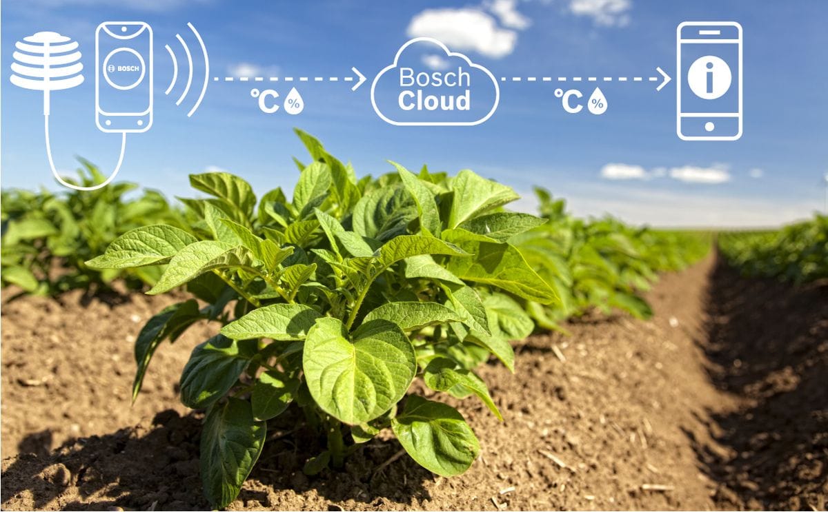 Bosch monitoring a potato field