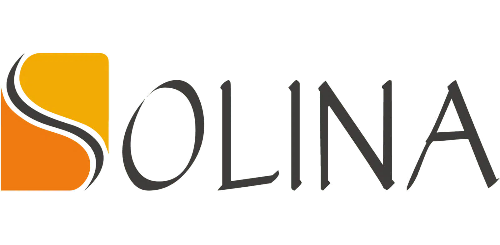 Solina Group logo
