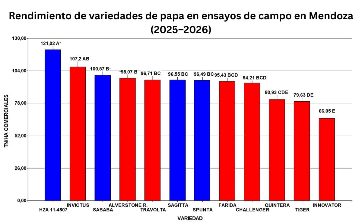 Mendoza potato variety yield