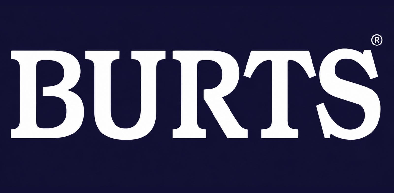 Burts Snacks Ltd logo