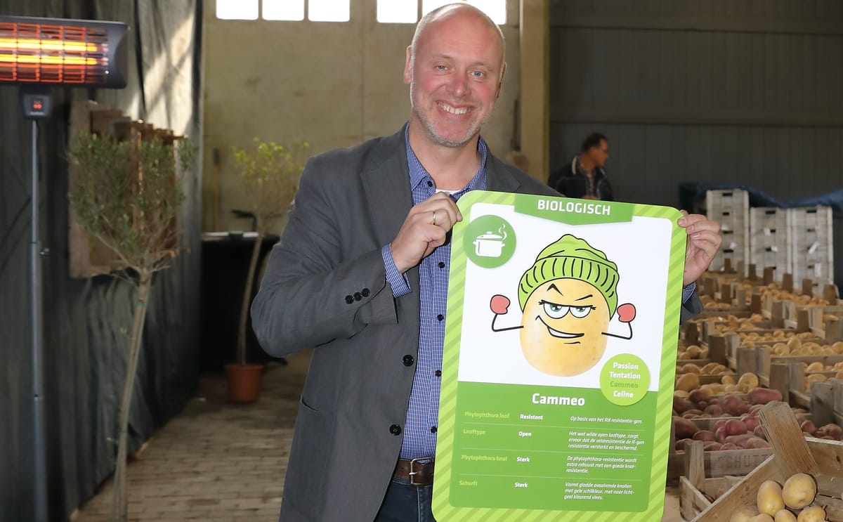 Caithness potatoes nederland jan eric geersing