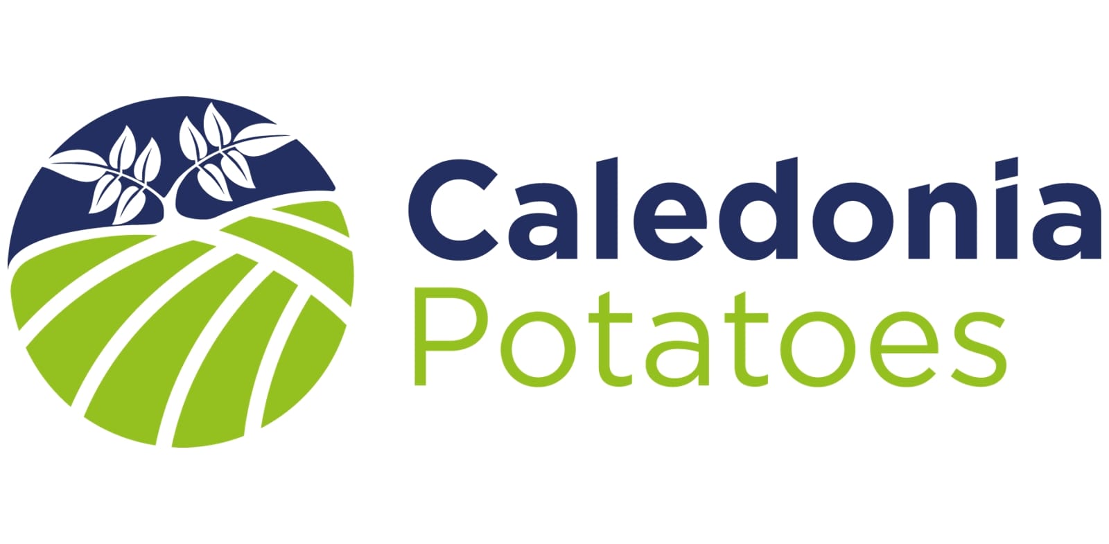 Caledonia Potatoes logo