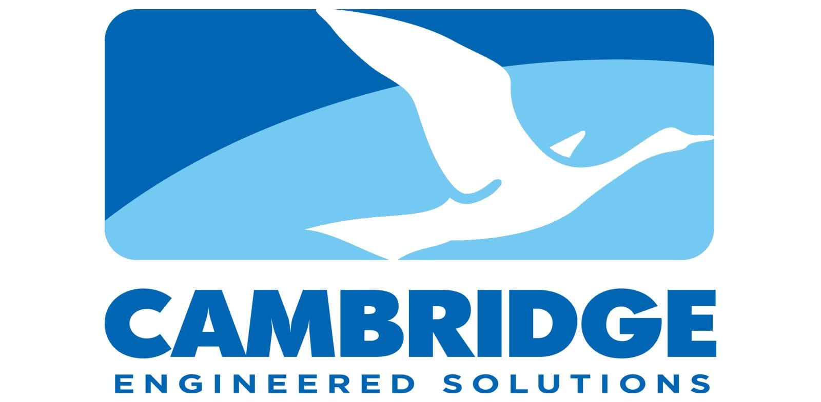 Cambridge Engineered Solutions logo