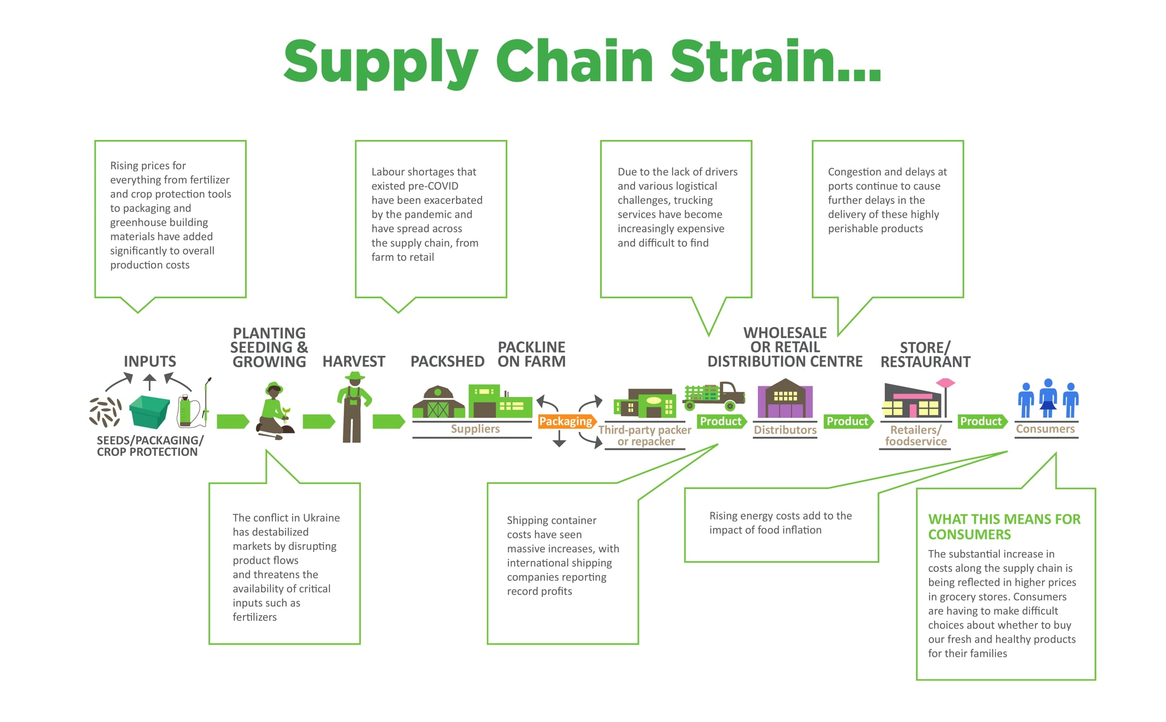 Supply chain strain