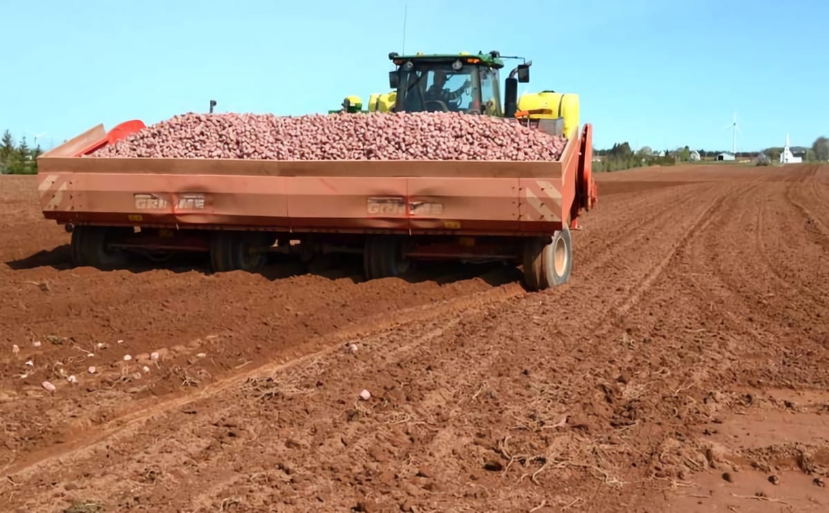 Layoffs expected at pei 1