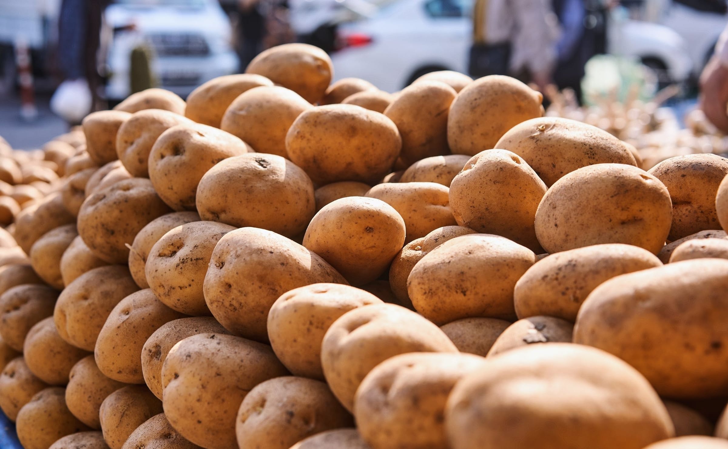 Potato on sale