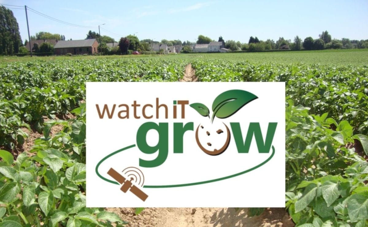 Watch it growing