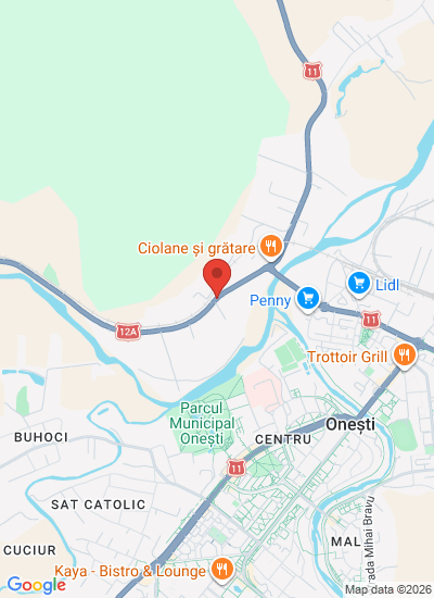 Map showing 601110, Romania