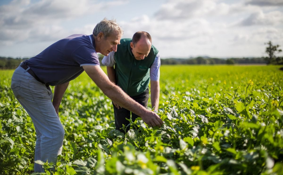 Crop4sight releases innovative irrigation scheduling tool