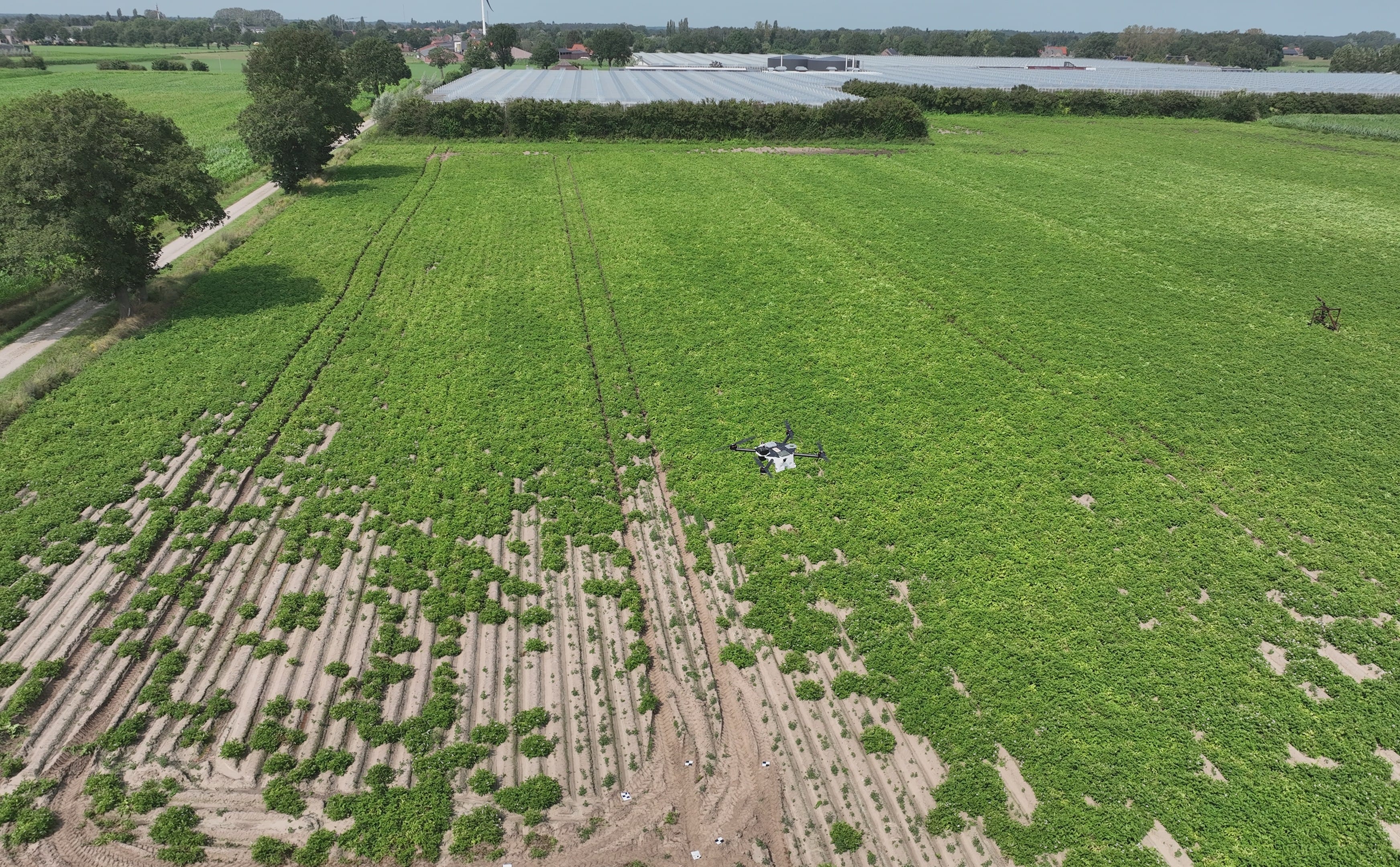 Croptic - Automatic Seed Potato Selection with Drones