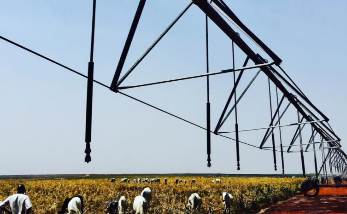 Cross agro farming location