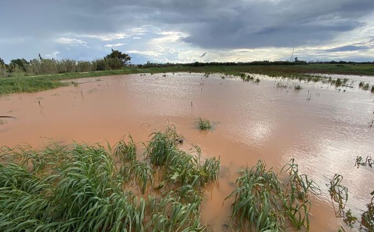 Cyprus famagusta district hit by rain