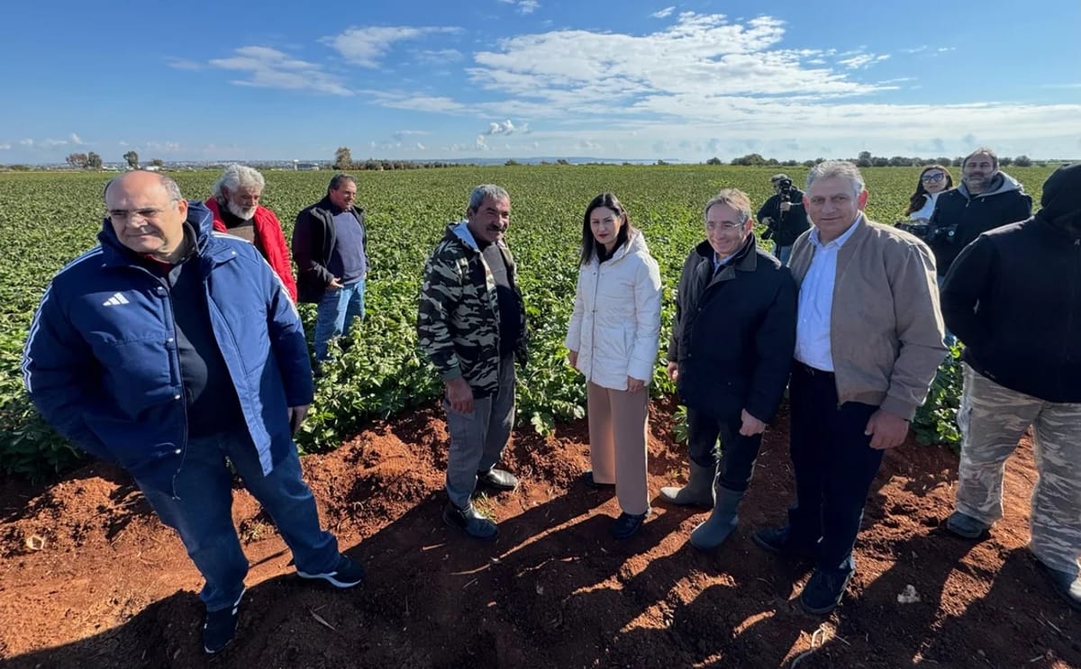 Minister of agriculture visited potato plantations affected by frost
