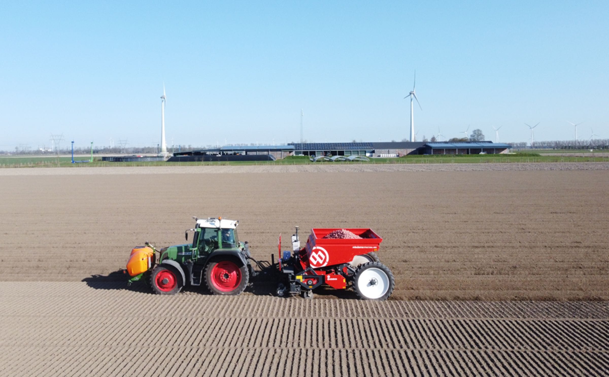 Planting seed potatoes under ideal conditions