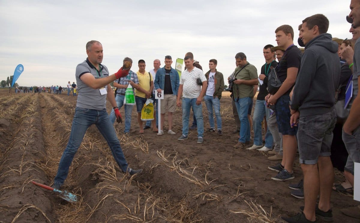Dlg ukranian potato day