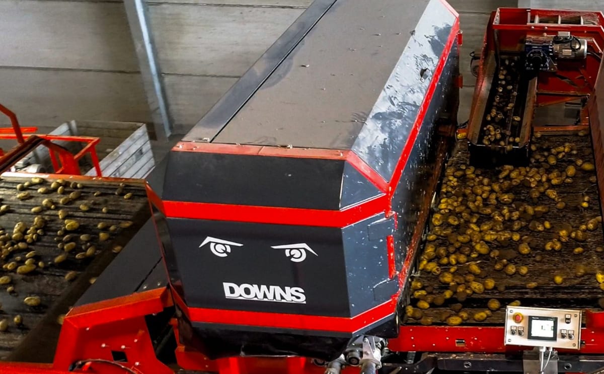 Downs crops vision