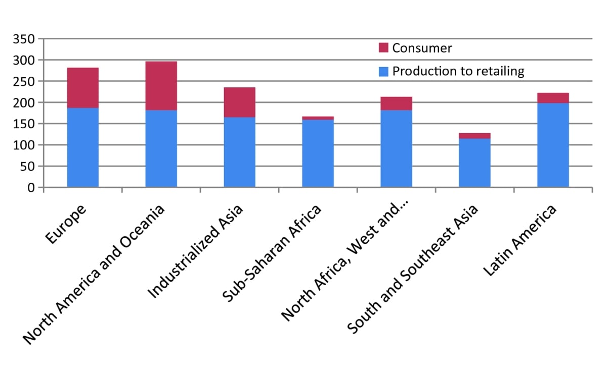 Per capita food losses by region