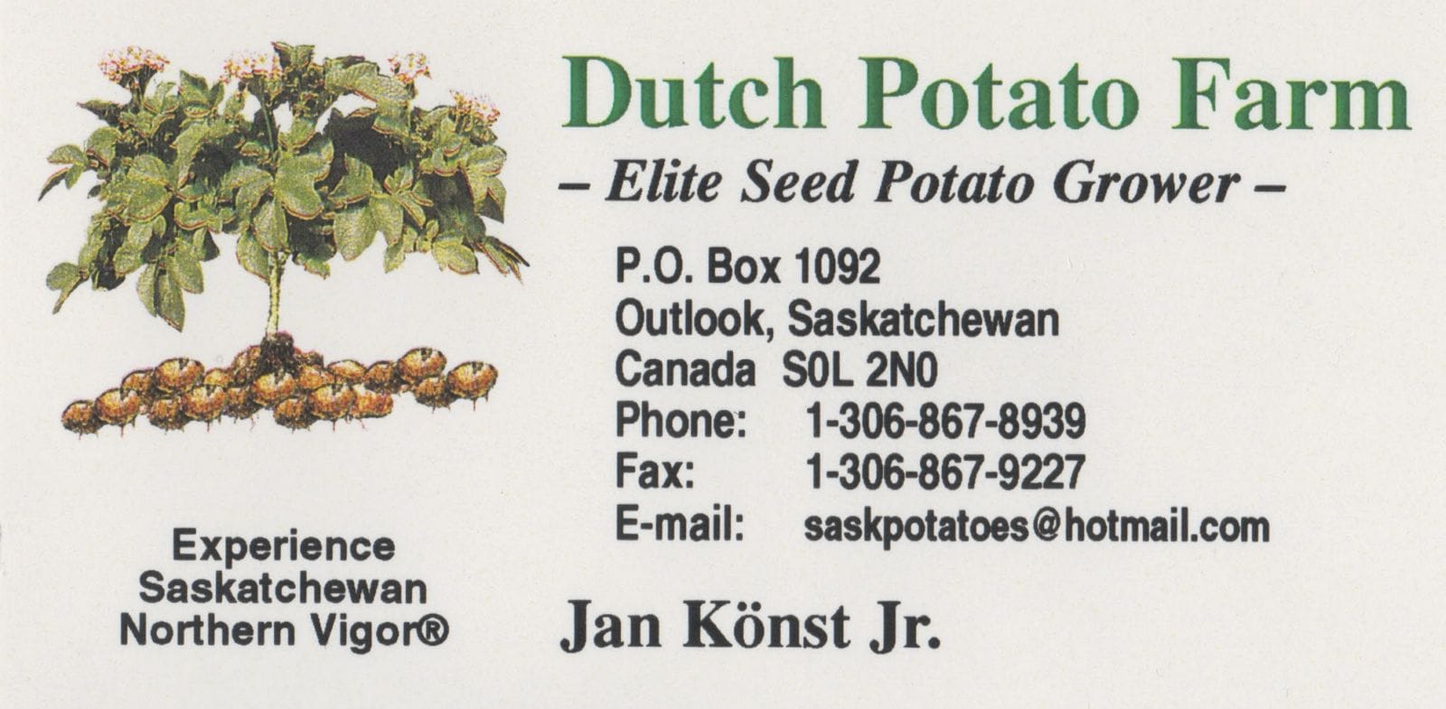 Dutch Potato Farm logo