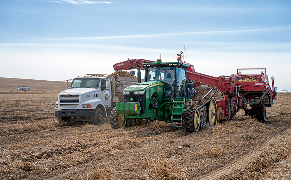 Eagle eye says idaho potato crop showing high quality but smaller sizing