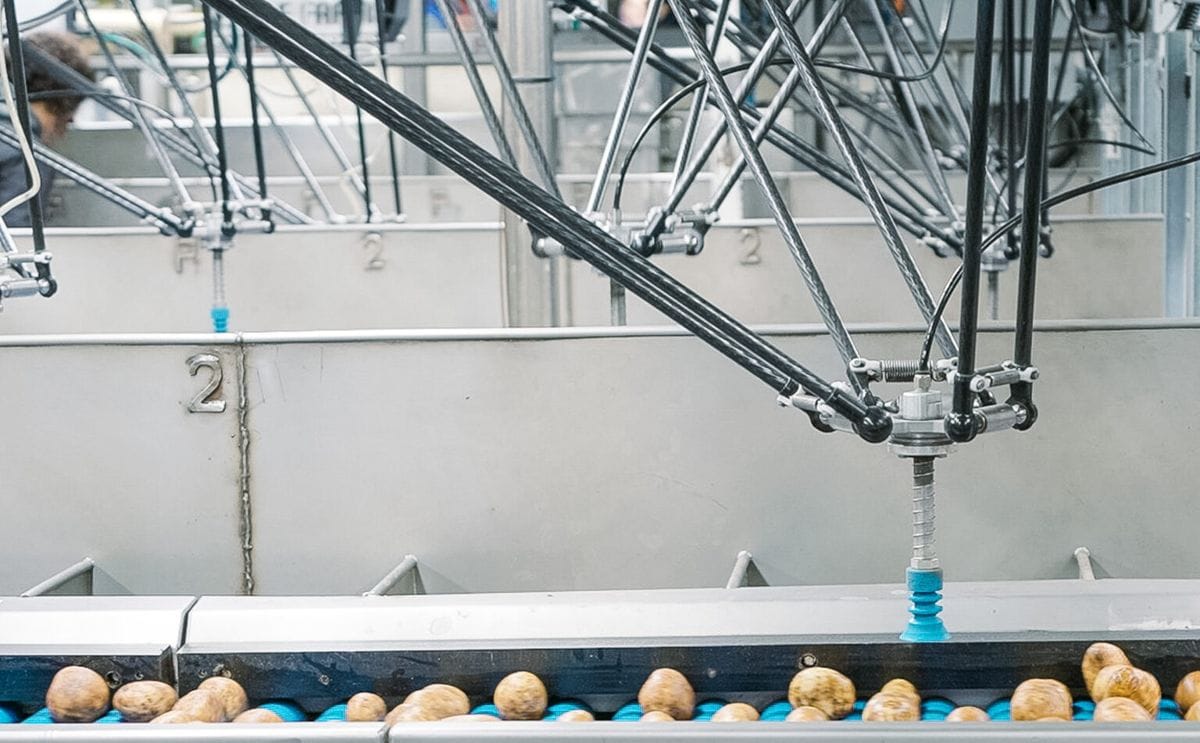 Robot sorter