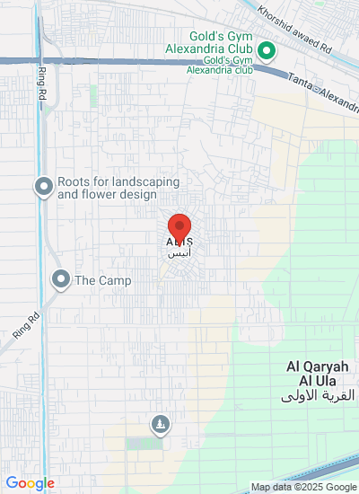 Map showing Abis 8, Egypt