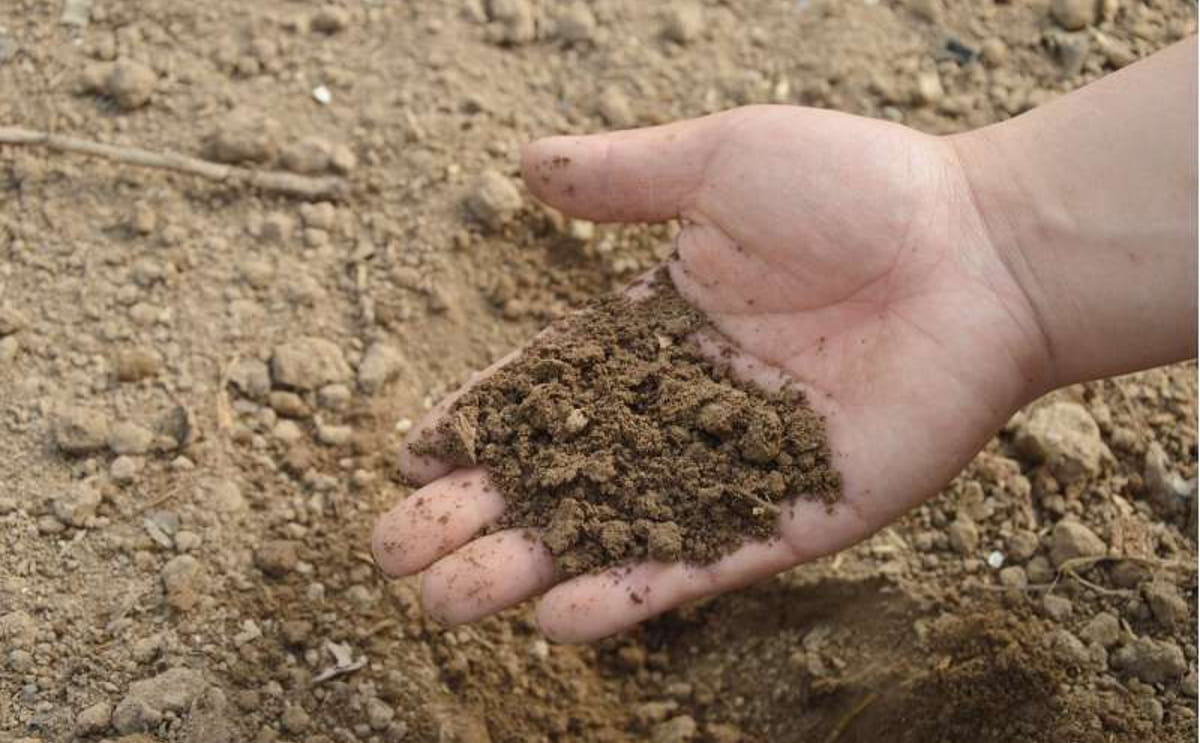 Fertilizer