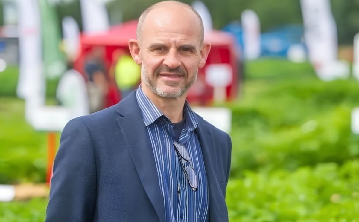 Prof ian toth