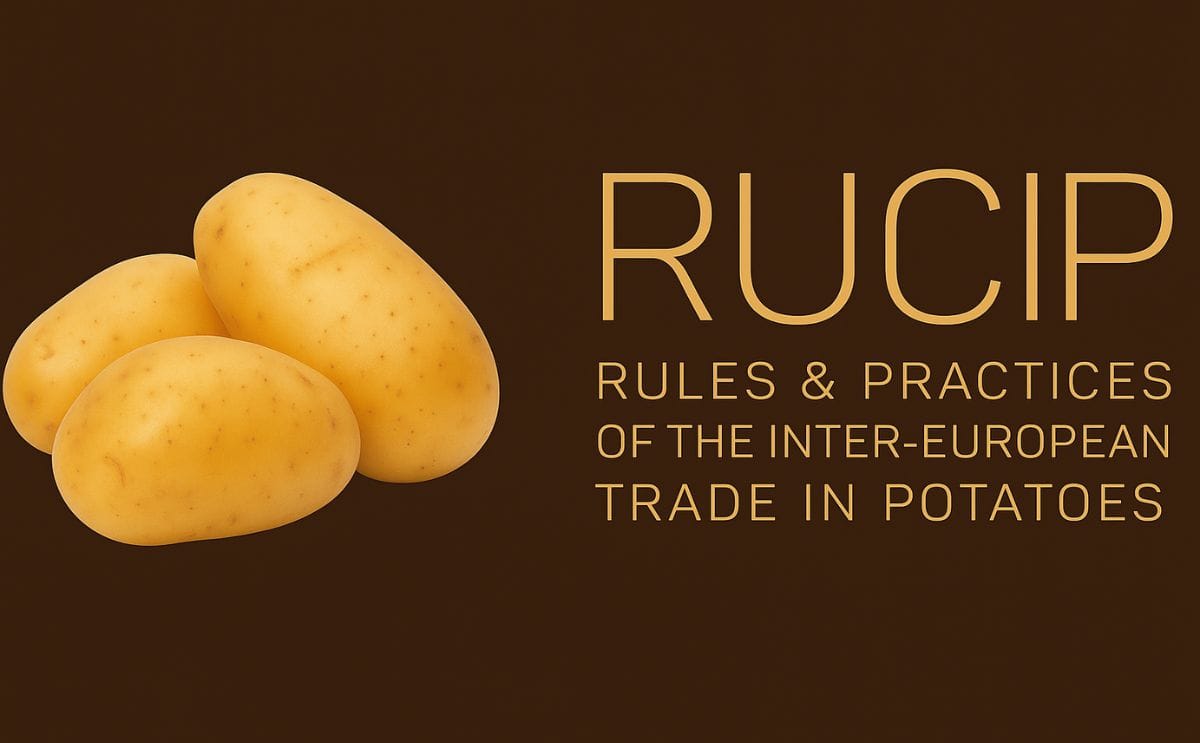 German rucip webinar trade rules update