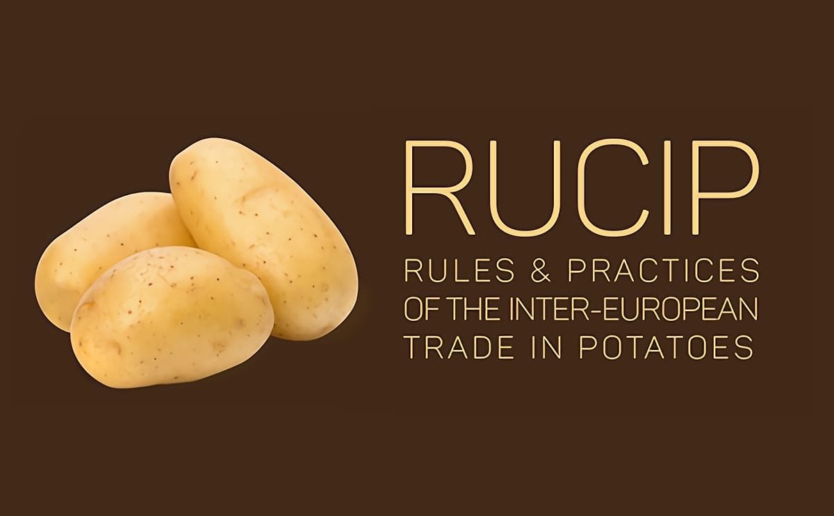 Rucip webinar