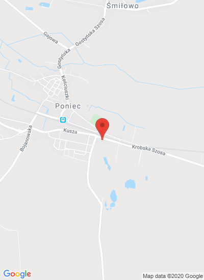 Map showing Poniec, Poland