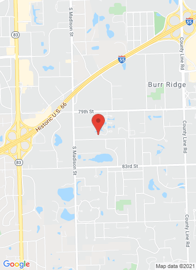 Map showing Burr Ridge, United States
